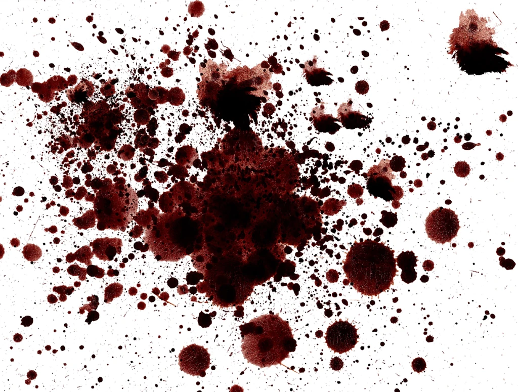 Blood best scale I can Guess 2 preview